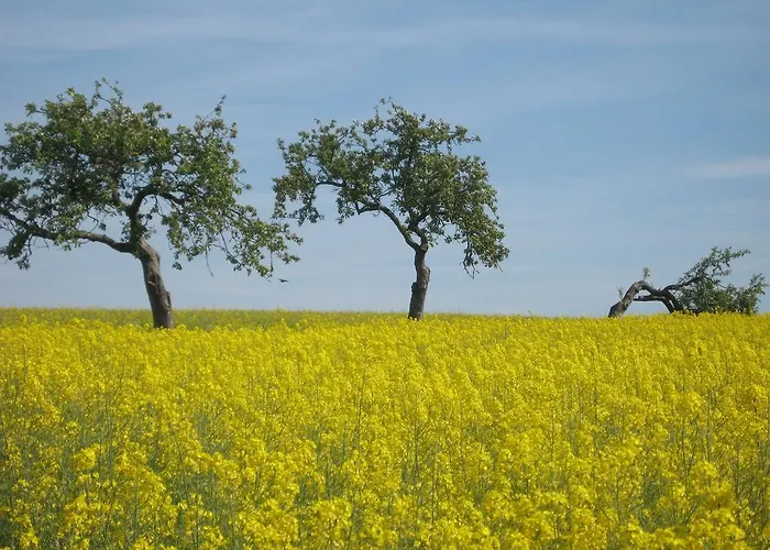 Landgasthof Gemmer Otel Rettert